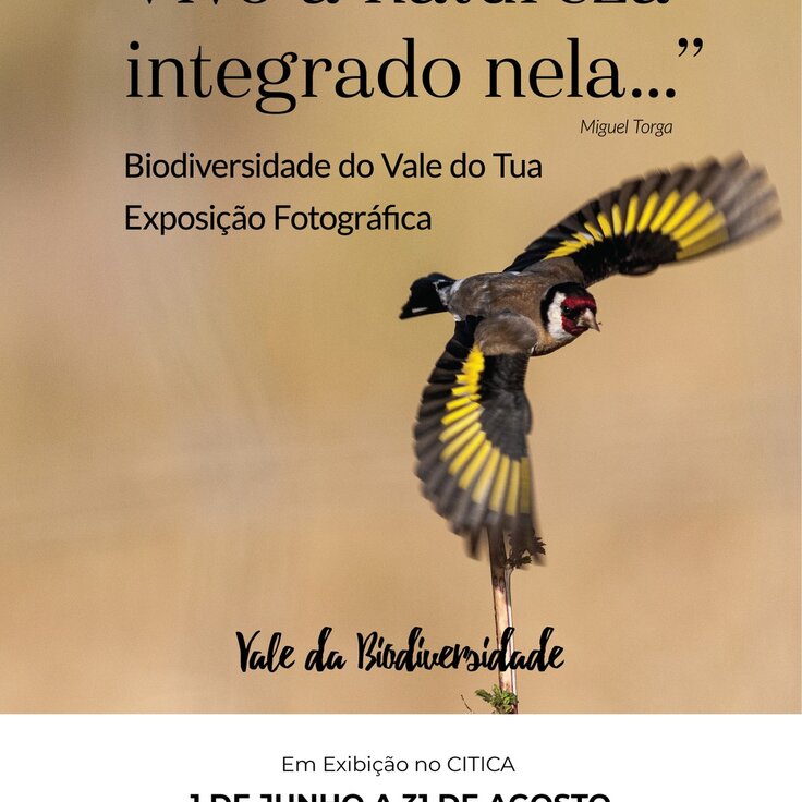 biodiversidade_do_tua_cartaz_biodiversidade_500x700mm___3mm_bleed___1__01_01